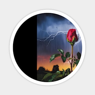 Single Red Rose with a Green Stem and Leaves Magnet